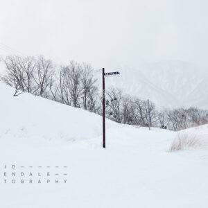 Cortina #1 from the series The Fall 2016, Fine Art Print, Japanese direction sign in Ski resort
