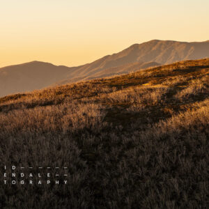 Falls Creek #23, fine art print, Landscape photograph, autumn season, alpine view