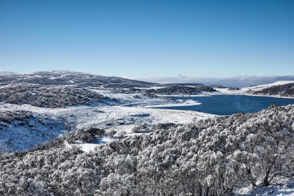 Falls Creek 42 Fine Art Print, first snowfall in the mountains in winter