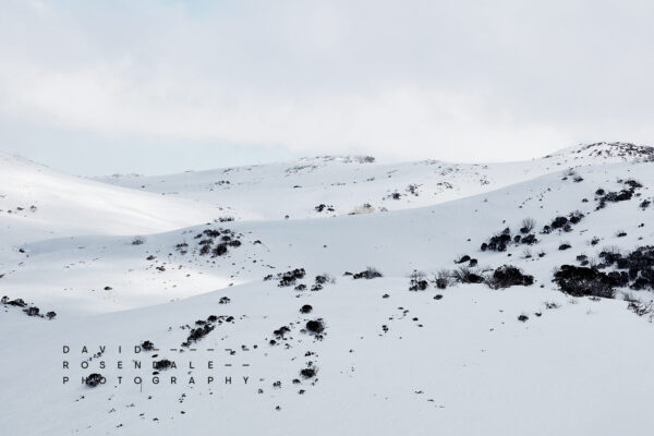 Falls Creek #53 Fine Art Print, peak winter season Ski resort & alpine view