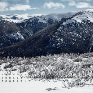 Falls Creek #66 Fine Art Print of Winter Alpine Mountain scene