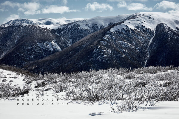 Falls Creek #66 Fine Art Print of Winter Alpine Mountain scene