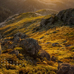 Falls Creek #78 Fine Art Print, late evening sunset in summer in the mountains