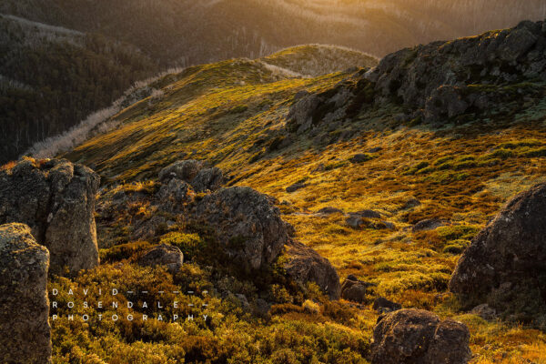 Falls Creek #78 Fine Art Print, late evening sunset in summer in the mountains