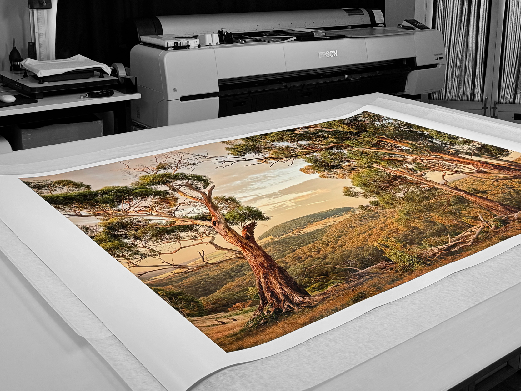PRINTING & FRAMING DAVID ROSENDALE